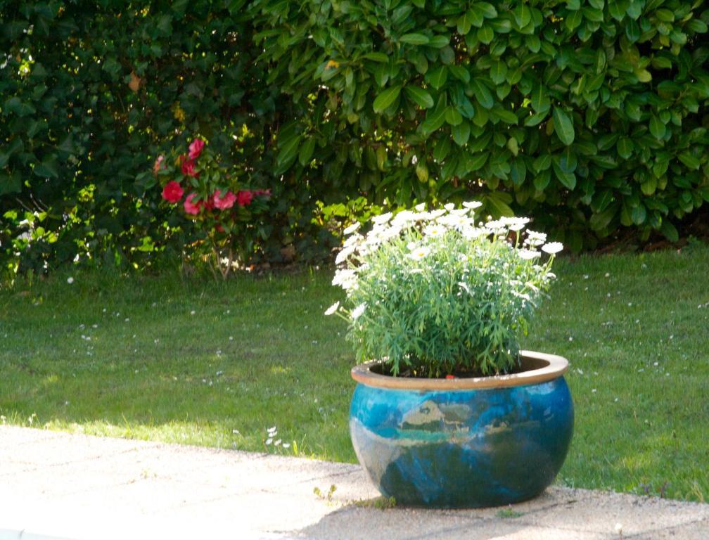 Les Hibiscus Bed and Breakfast Maisons-Laffitte Exteriör bild