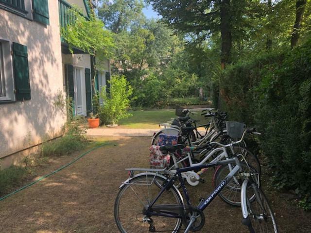 Les Hibiscus Bed and Breakfast Maisons-Laffitte Exteriör bild
